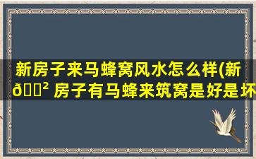 新房子来马蜂窝风水怎么样(新 🌲 房子有马蜂来筑窝是好是坏)